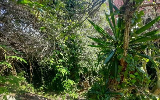 Terrain à la Vente – Zone Villa – Jbel Kbir – Tanger